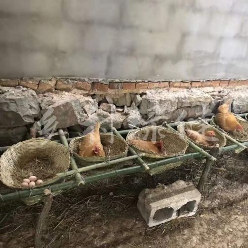 �|�����u���Bֳ�S